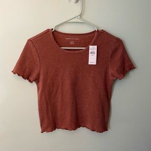 American Eagle Rust Red Crop Top